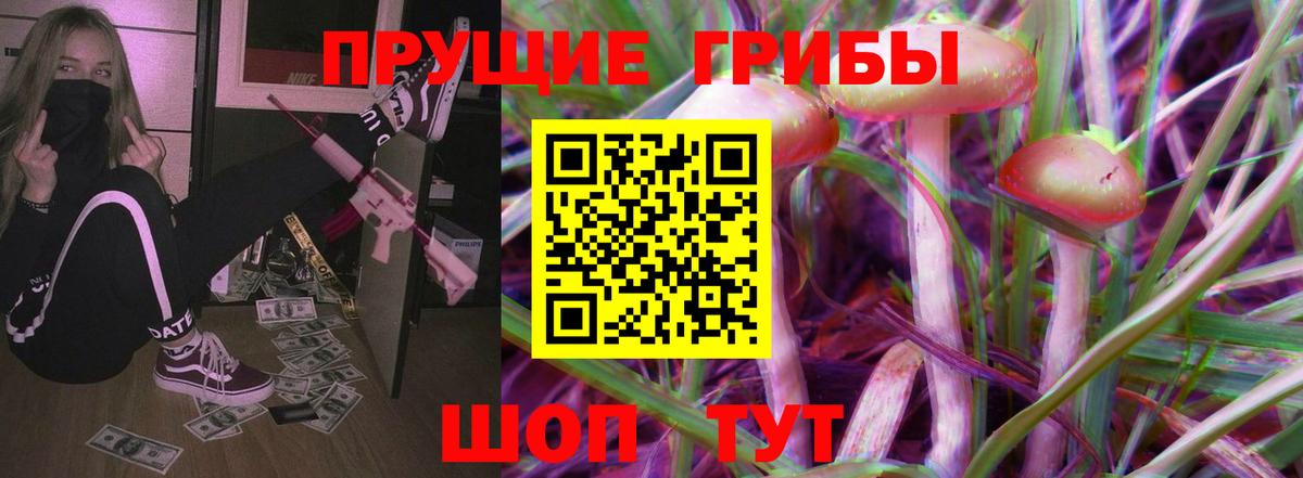 Галлюциногенные грибы Psilocybine cubensis Заводоуковск