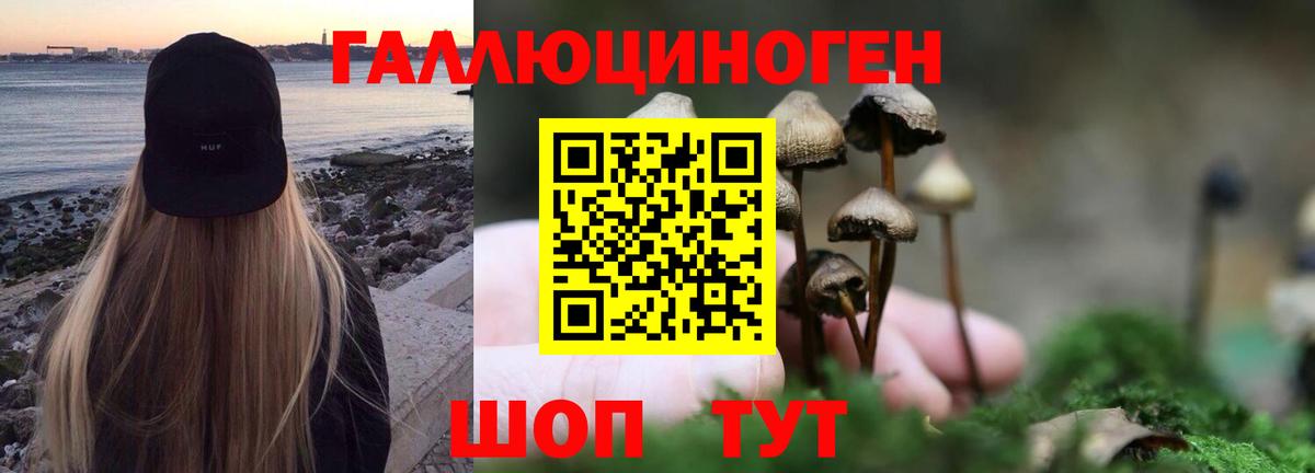 Заводоуковск  Галлюциногенные грибы прущие грибы  Вход с VPN 